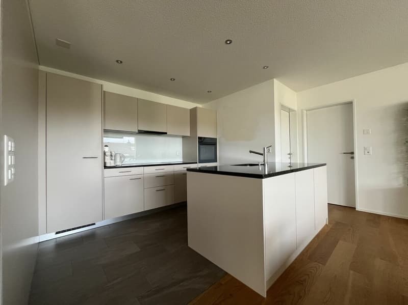 Moderne und lichtdurchflutete 3.5-Zimmer-Parterrewohnung (3)
