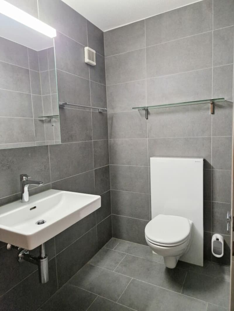 Renovierte Wohnung an idealer Lage (6)