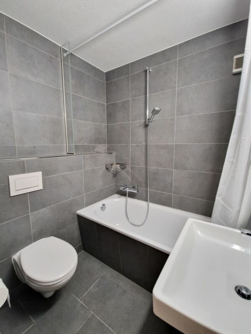 Renovierte Wohnung an idealer Lage (5)