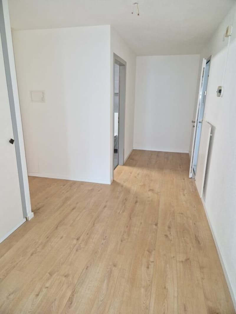 Renovierte Wohnung an idealer Lage (4)