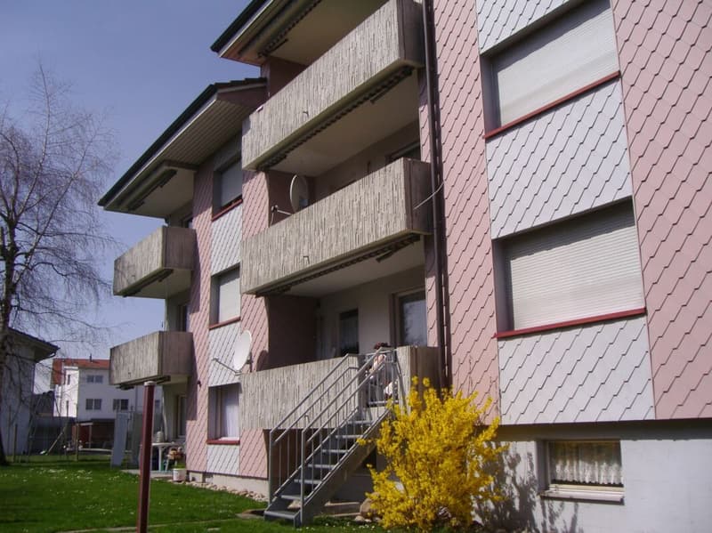 Renovierte Wohnung an idealer Lage (10)