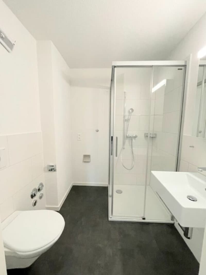 Attraktive 2.5-Zimmerwohnung im Horw (4)