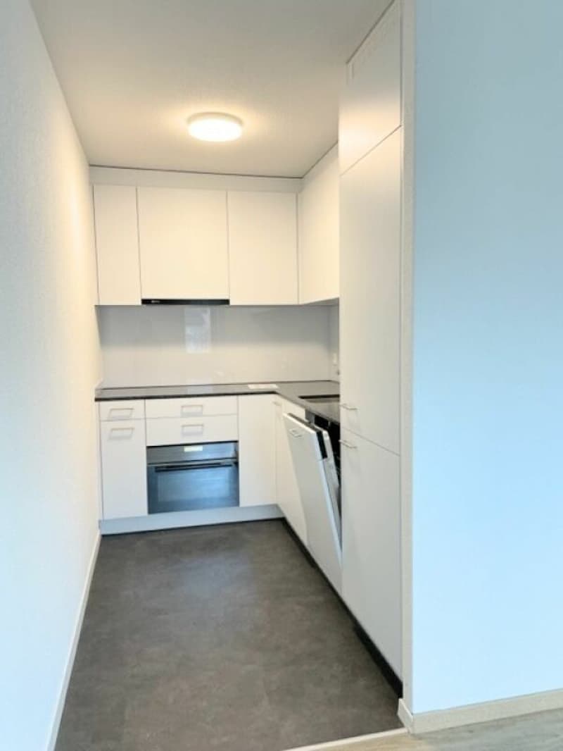 Attraktive 2.5-Zimmerwohnung im Horw (2)