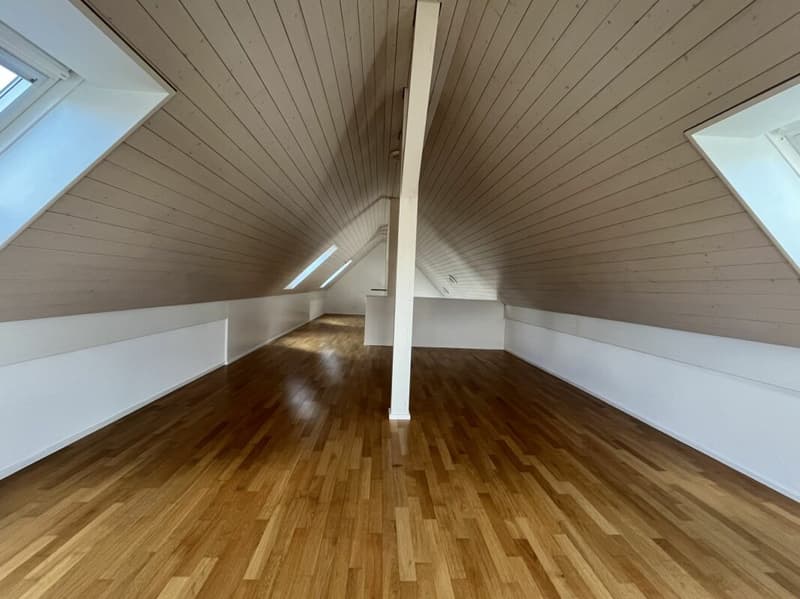 Helle und charmante 5.5-Zimmer-Dachwohnung (7)