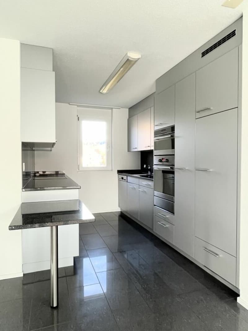 Helle und charmante 5.5-Zimmer-Dachwohnung (3)