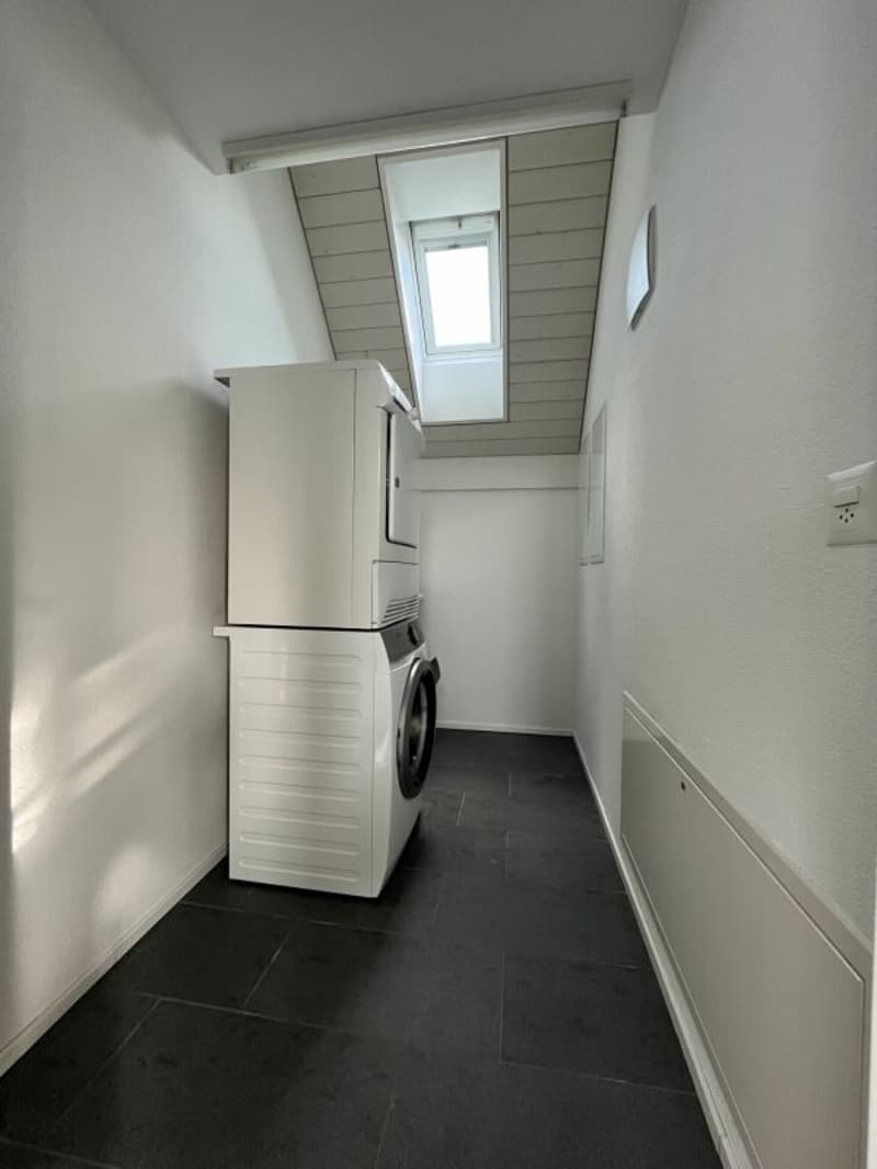 Helle und charmante 5.5-Zimmer-Dachwohnung (10)