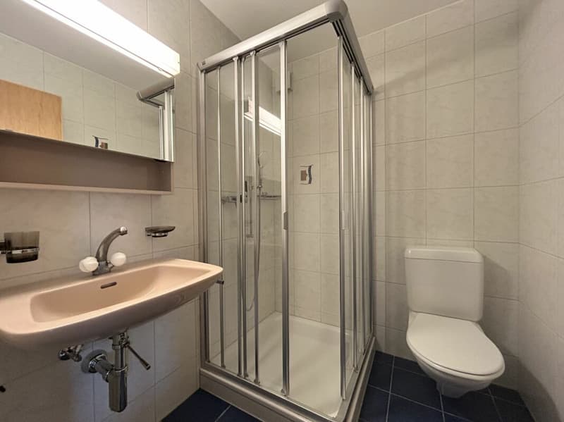 preiswerte 4.5-Zimmerwohnung im Herzen von Schötz (5)