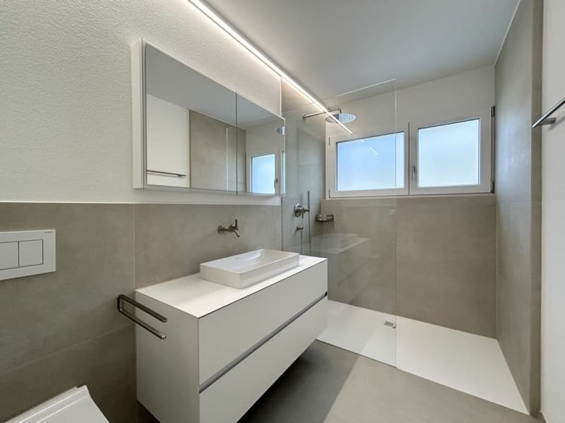 Exklusive 5.5-Zimmerwohnung (9)