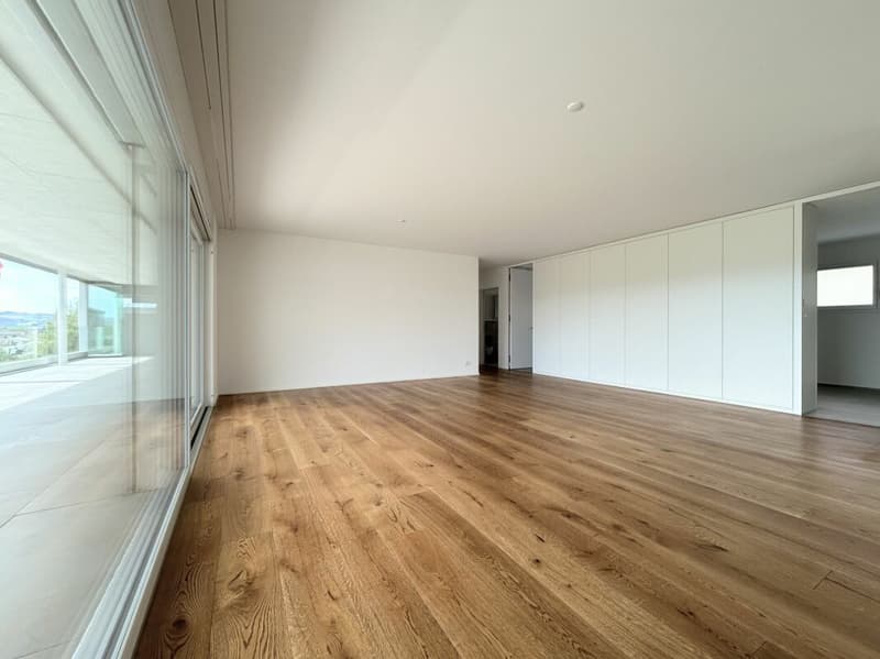 Exklusive 5.5-Zimmerwohnung (2)