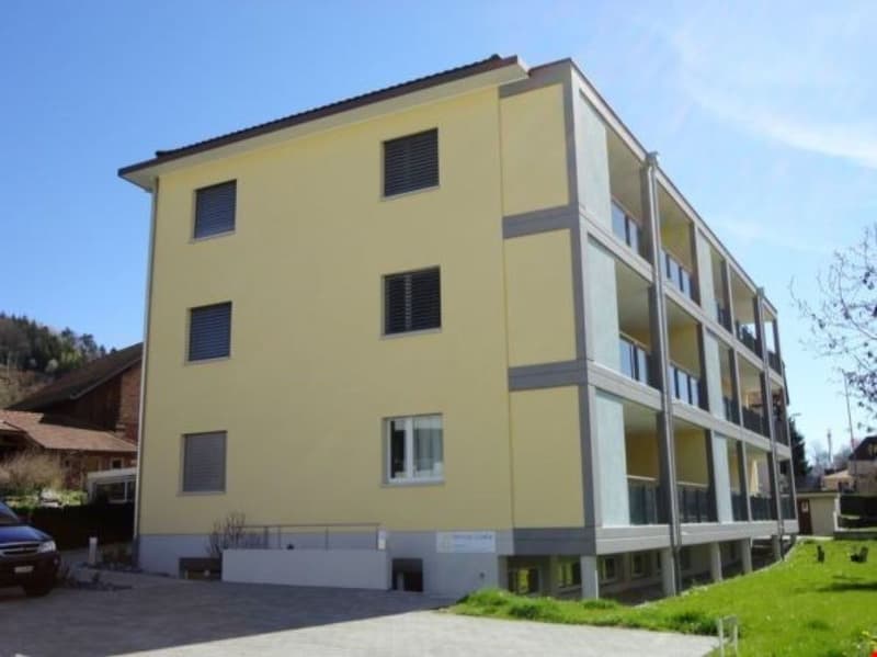 Grosszügige 2.5-Zimmerwohnung in Dagmersellen (10)