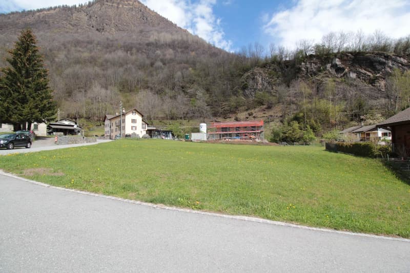 BUILDING LAND FOR PRIMARY RESIDENCES: LIVING IN THE GREEN AND IN CONTACT WITH NATURE (8)