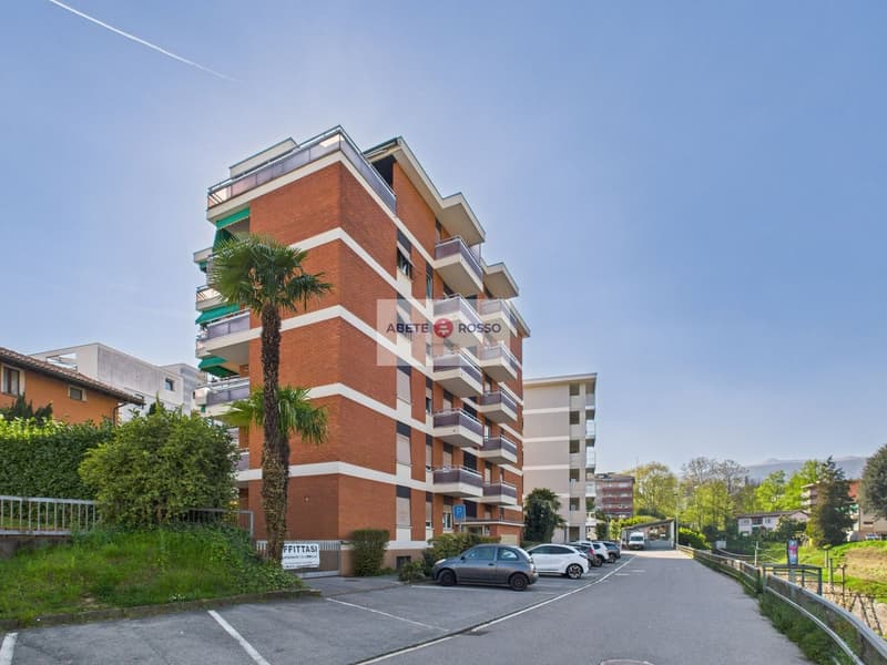 Multi-story brick apartment building with balconies, parking spaces in the front, and palm trees surrounding the property.
