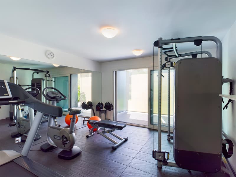 well-equipped gym, various exercise machines, mirrors, weight bench, dumbbells, treadmill, elliptical