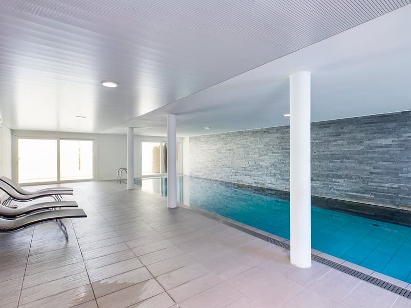 modern swimming pool, tiles floor, lounge chairs, sliding glass doors, gray tiles wall