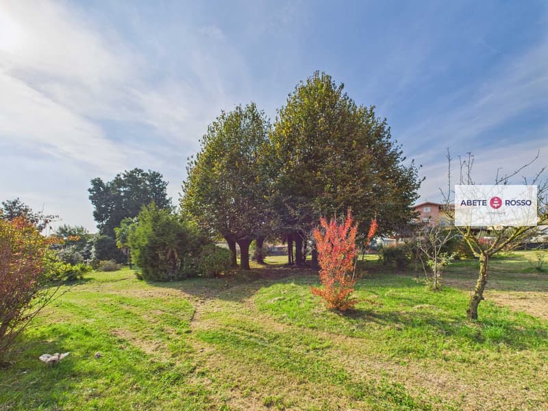 Well-maintained garden with various plants and trees, a lawn, and a house visible in the background.