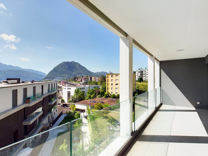 APPARTEMENT ÉLÉGANT: ESPACIEUX, MODERNE, AVEC TOUS LES CONFORTS, PRÈS DE LA GARE ET DU CENTRE DE LUGANO (2)