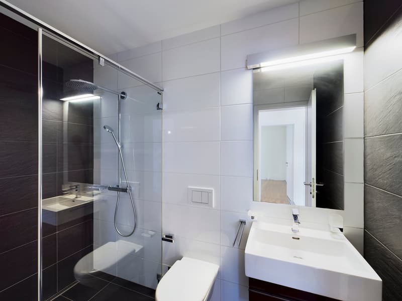 APPARTEMENT ÉLÉGANT: ESPACIEUX, MODERNE, AVEC TOUS LES CONFORTS, PRÈS DE LA GARE ET DU CENTRE DE LUGANO (7)