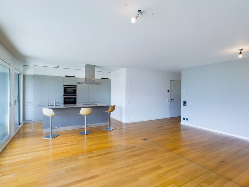 APPARTEMENT ÉLÉGANT: ESPACIEUX, MODERNE, AVEC TOUS LES CONFORTS, PRÈS DE LA GARE ET DU CENTRE DE LUGANO (4)