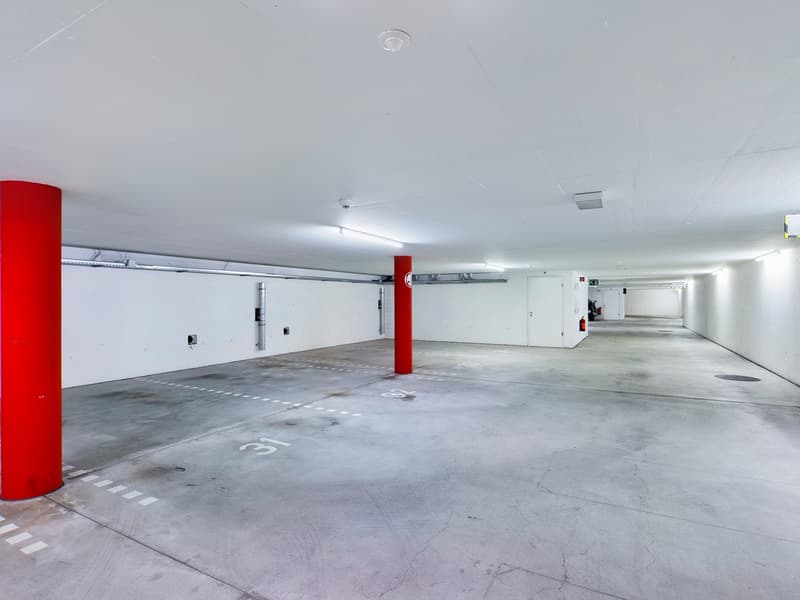 APPARTEMENT ÉLÉGANT: ESPACIEUX, MODERNE, AVEC TOUS LES CONFORTS, PRÈS DE LA GARE ET DU CENTRE DE LUGANO (13)