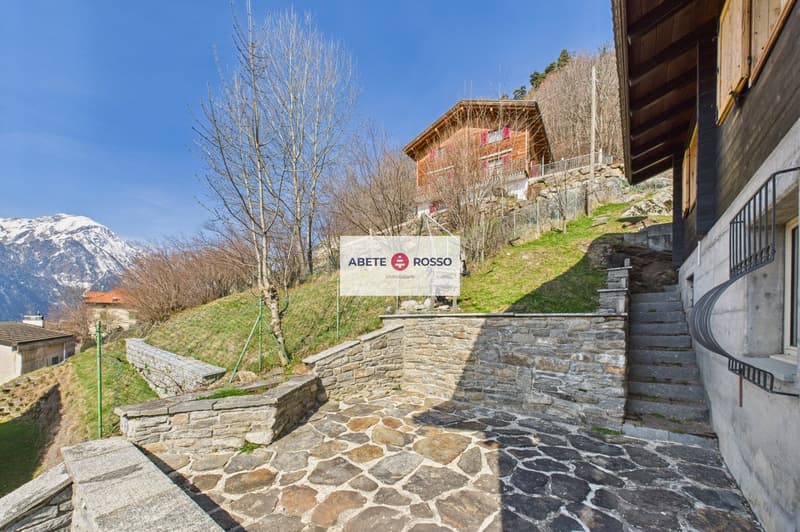 Stone pathway leading to a house, surrounded by trees and grass, with a mountain in the background