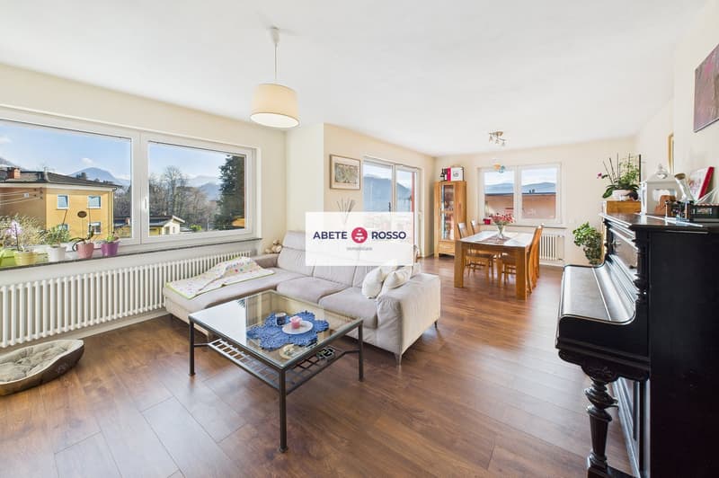 living room with couch, coffee table, dining table, piano, radiator, windows, plants
