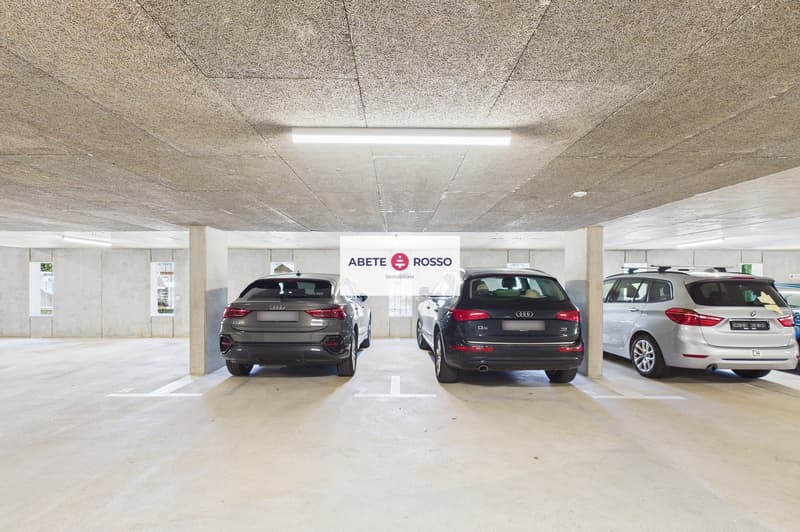 Splendido attico di 4.5 locali con ampia terrazza e finiture moderne. (35)