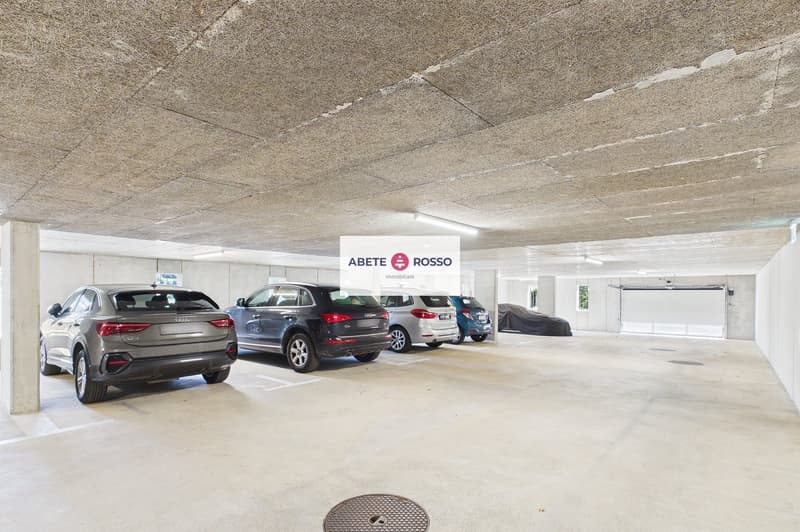 Splendido attico di 4.5 locali con ampia terrazza e finiture moderne. (36)