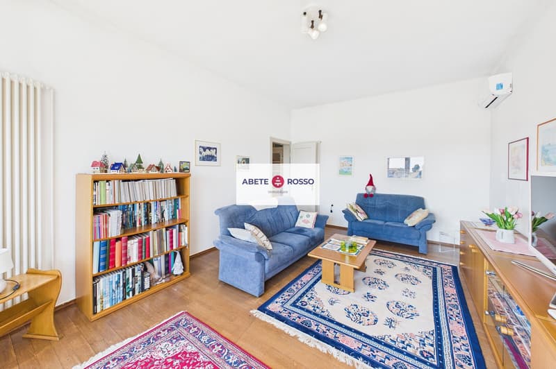 Casa tradizionale ticinese dal fascino autentico con vista aperta (13)