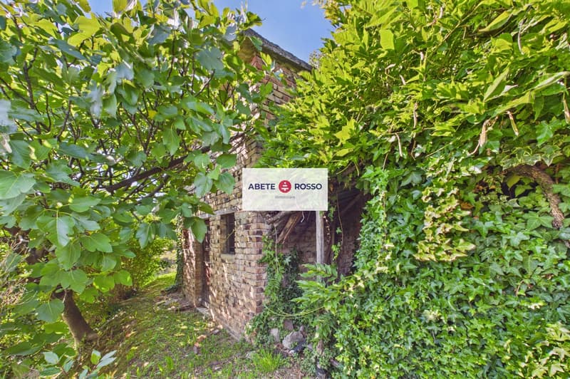 Casa tradizionale ticinese dal fascino autentico con vista aperta (25)