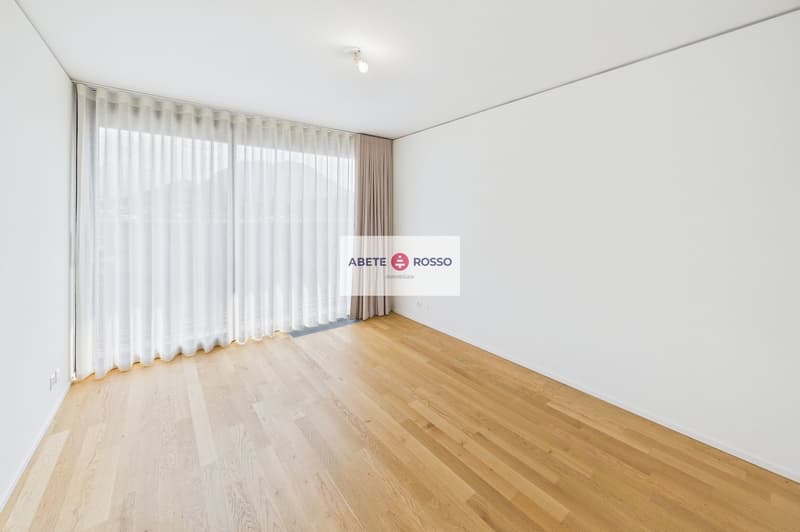 ELEGANTE APPARTAMENTO: AMPIO, MODERNO, TRA BENESSERE E NATURA, VICINO A STAZIONE E CENTRO LUGANO (17)