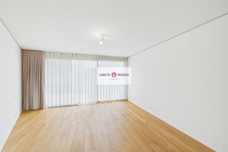 ELEGANTE APPARTAMENTO: AMPIO, MODERNO, TRA BENESSERE E NATURA, VICINO A STAZIONE E CENTRO LUGANO (21)