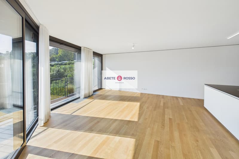 ELEGANTE APPARTAMENTO: AMPIO, MODERNO, TRA BENESSERE E NATURA, VICINO A STAZIONE E CENTRO LUGANO (11)