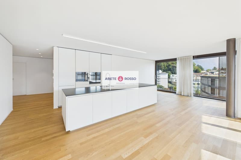 ELEGANTE APPARTAMENTO: AMPIO, MODERNO, TRA BENESSERE E NATURA, VICINO A STAZIONE E CENTRO LUGANO (6)