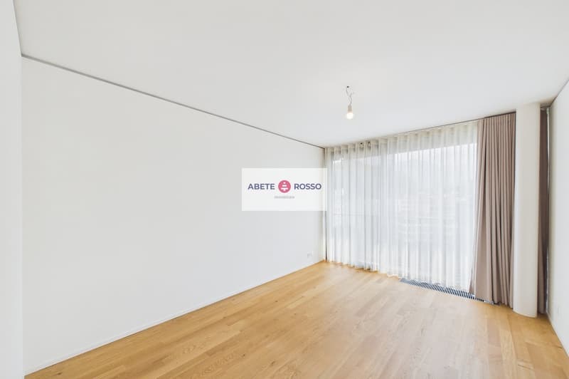 ELEGANTE APPARTAMENTO: AMPIO, MODERNO, TRA BENESSERE E NATURA, VICINO A STAZIONE E CENTRO LUGANO (20)