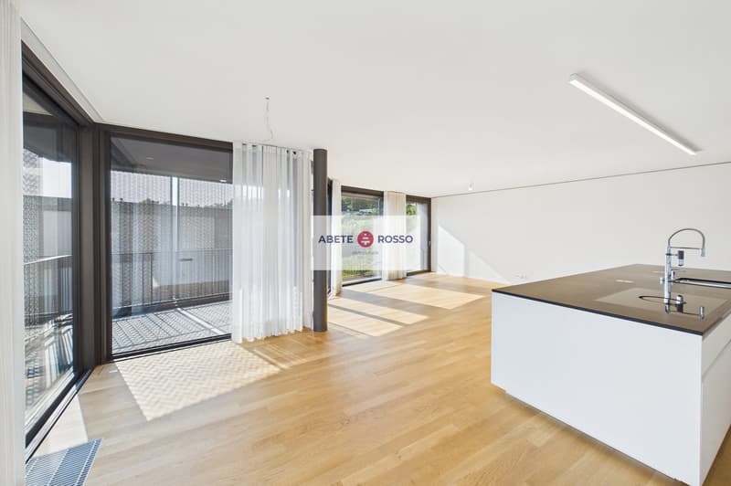 ELEGANTE APPARTAMENTO: AMPIO, MODERNO, TRA BENESSERE E NATURA, VICINO A STAZIONE E CENTRO LUGANO (8)