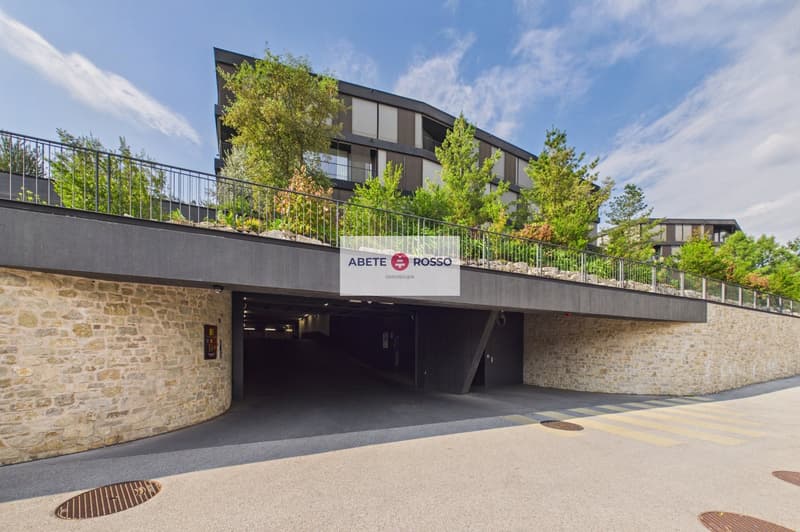 ELEGANTE APPARTAMENTO: AMPIO, MODERNO, TRA BENESSERE E NATURA, VICINO A STAZIONE E CENTRO LUGANO (26)