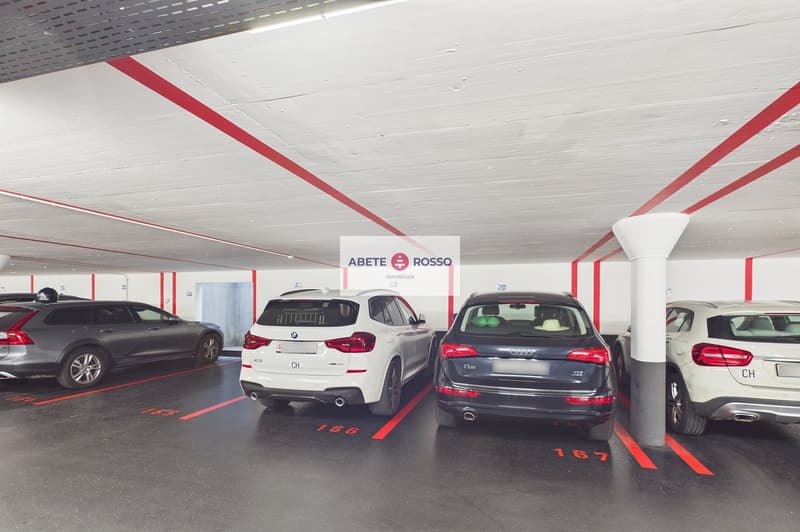 ELEGANTE APPARTAMENTO: AMPIO, MODERNO, TRA BENESSERE E NATURA, VICINO A STAZIONE E CENTRO LUGANO (27)