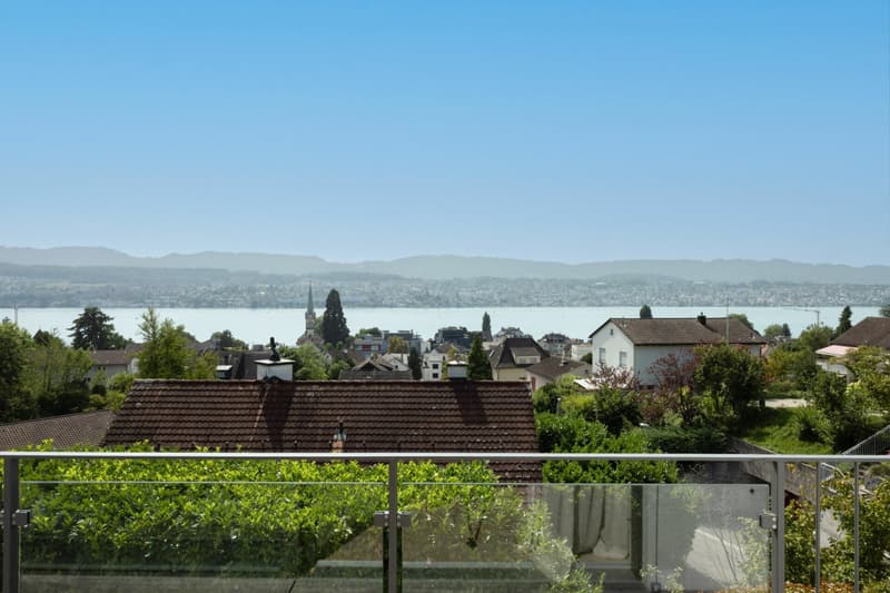 What a view! Villa with lake view and privacy (8)
