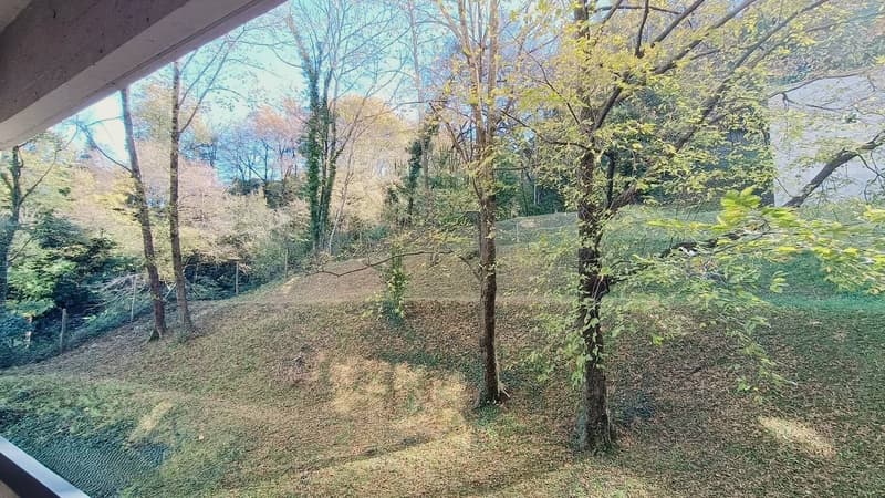 Appartamento - Pazzallo (11)