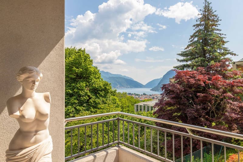 Appartamento - Lugano (10)