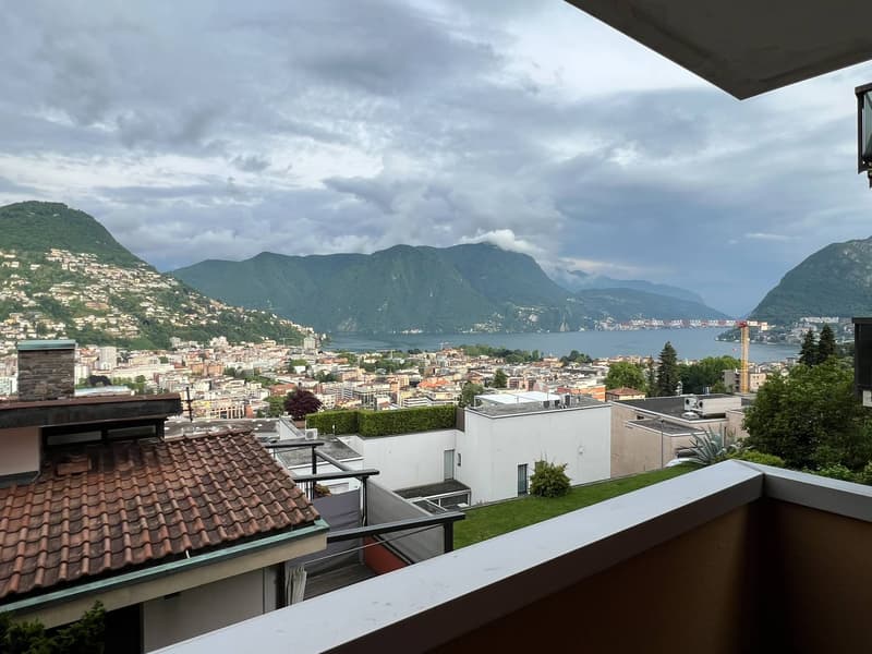 Appartamento - Massagno (4)