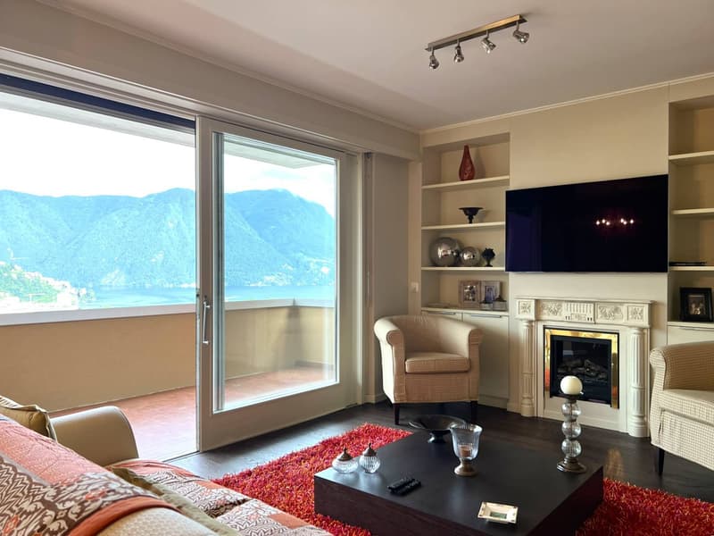 Appartamento - Massagno (3)