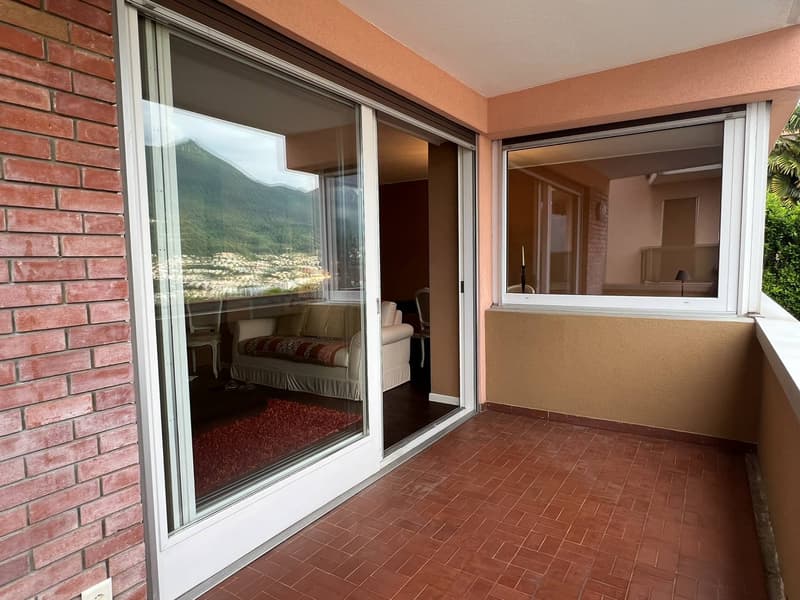 Appartamento - Massagno (6)