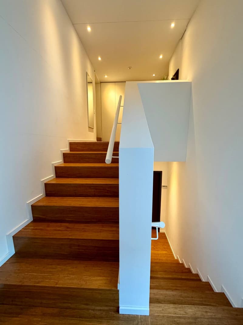 Villa - Breganzona (5)