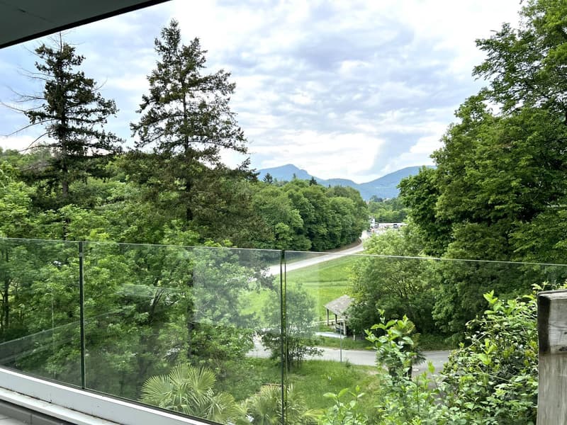 Ampio appartamento duplex con terrazze panoramiche in casa bifamiliare (4)