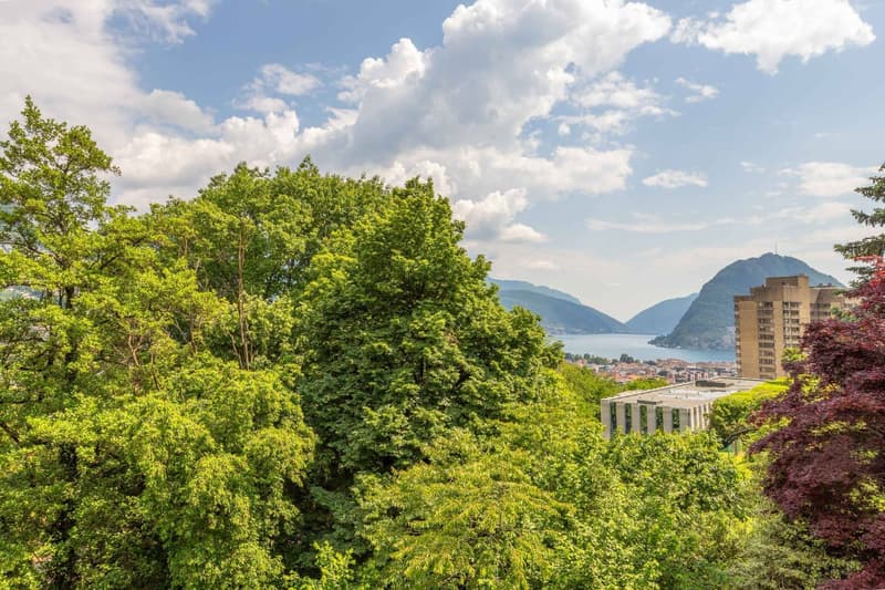 The image shows a scenic view of a lakeside town surrounded by lush green trees and mountains in the background. The sky is partly cloudy, creating a picturesque landscape. The town appears to be situated on the shores of a lake, with buildings and struct