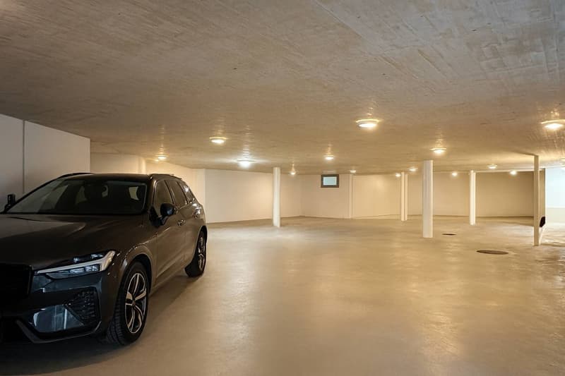 Elegante appartamento 4.5 locali con piscina a Breganzona (12)