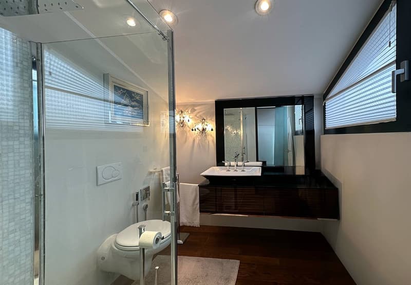 Modern bathroom with glass shower enclosure, vanity with dark wood cabinets, large mirror, and recessed lighting.