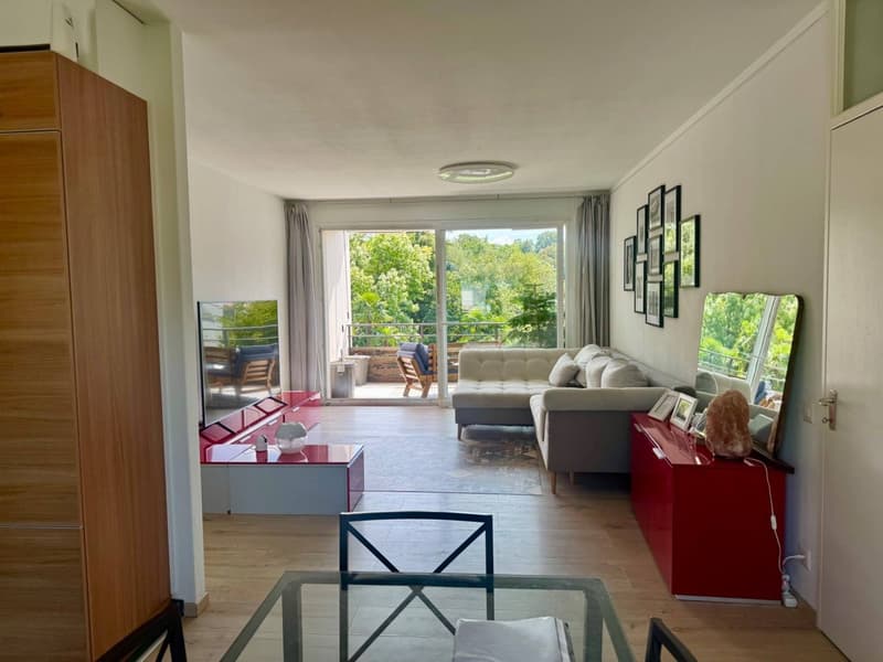 Open space with a balcony, sliding doors to balcony, sectional couch, glass coffee table, entertainment unit, TV, dining table with chairs, wooden flooring, large windows