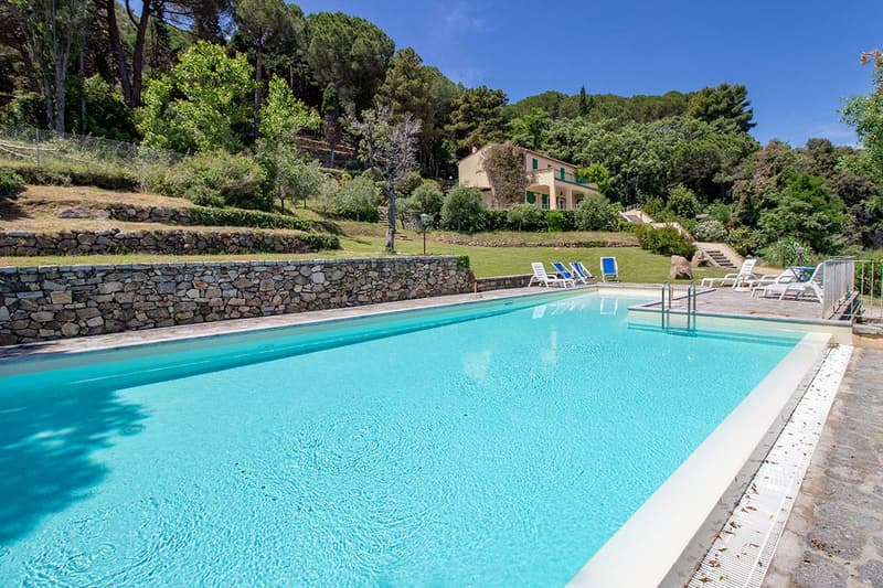 swimming pool, lounge chairs, stone walls, trees in the background